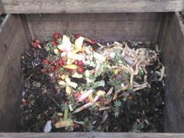 Semaine Nationale du Compostage